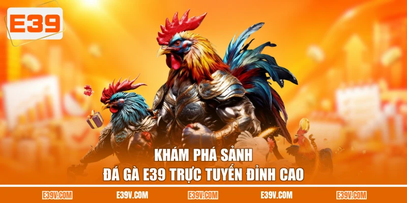 Khám phá sảnh đá gà E39 trực tuyến đỉnh cao